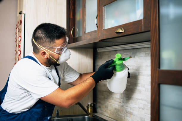 Best Pest Inspection Near Me  in El Paso De Robles, CA
