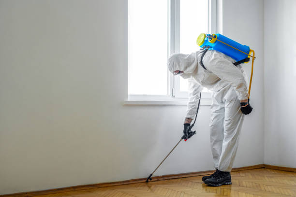 Best Pest Prevention Services  in El Paso De Robles, CA