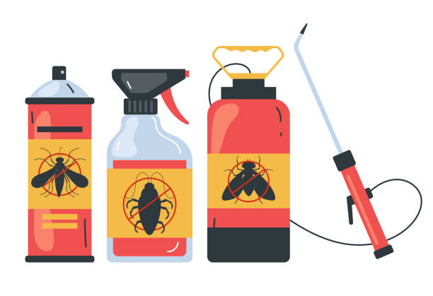 Best Bed Bug Extermination  in El Paso De Robles, CA