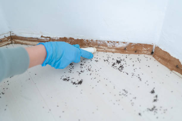 Best Wildlife Control Services  in El Paso De Robles, CA